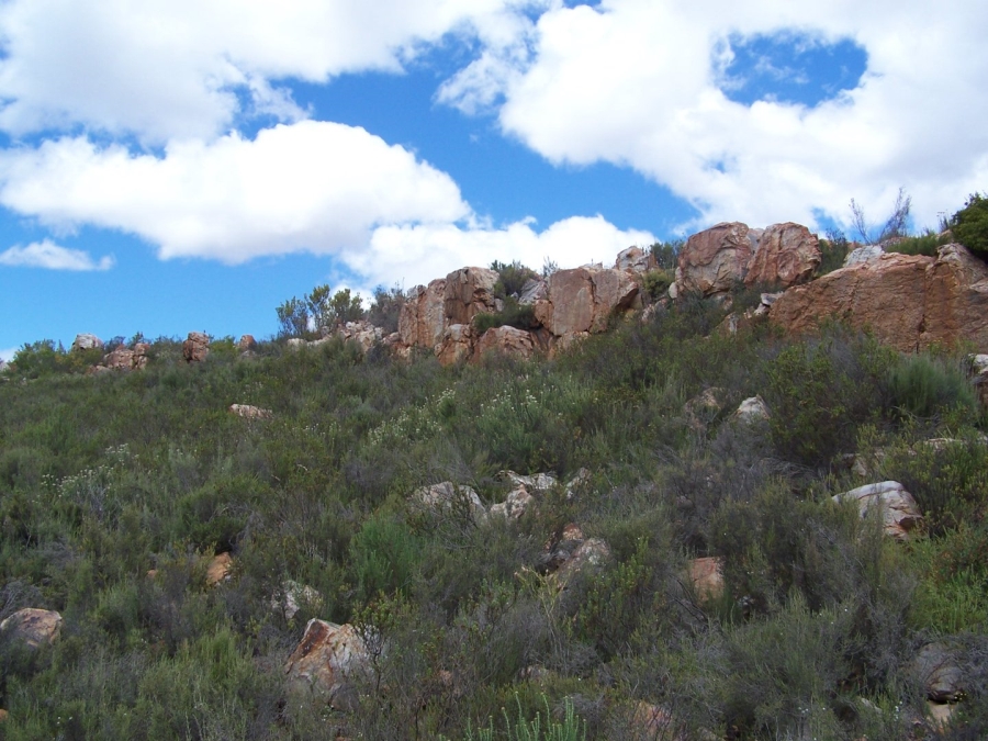 Commercial Property for Sale in Montagu Rural Western Cape